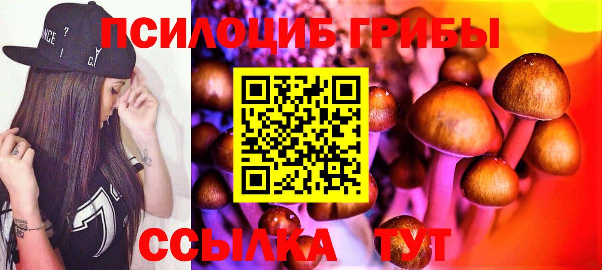 Галлюциногенные грибы мицелий  Галлюциногенные грибы Psilocybe  Чита  Вход с VPN 